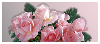 DNSEMP-L-064  Bouquet Of Roses Pink